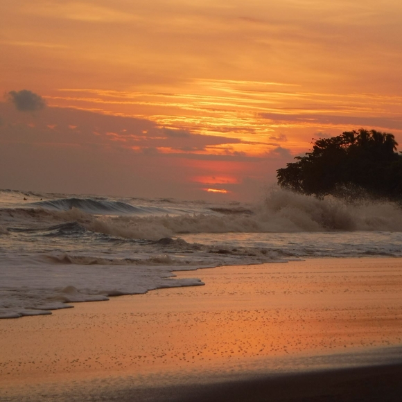 Meet your Posher, Kevin - Picture 1 of 1